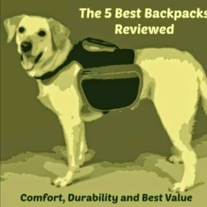Good 2 Go Doggie Backpack Sz. M